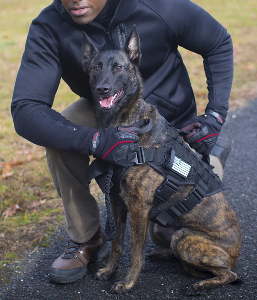 221B Tactical Noxx K-9 Harness