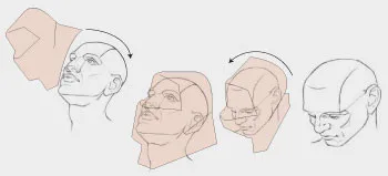 PPSS Anti-Spit Masks